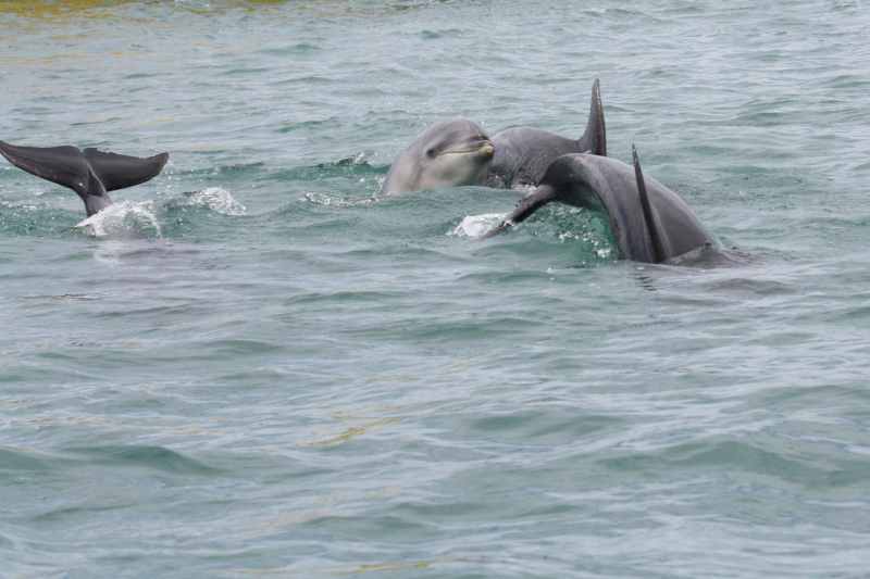 Nieuw-Zeeland 2011 - 0228